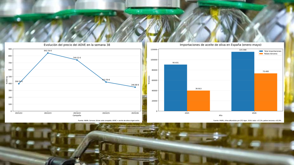 Un consumidor necesita precios razonables, calidad, seguridad y transparencia. Un agricultor necesita obtener una remuneración suficiente para cubrir sus costes y mantener su explotación.
Y el territorio necesita que el olivar siga siendo económicamente viable.
